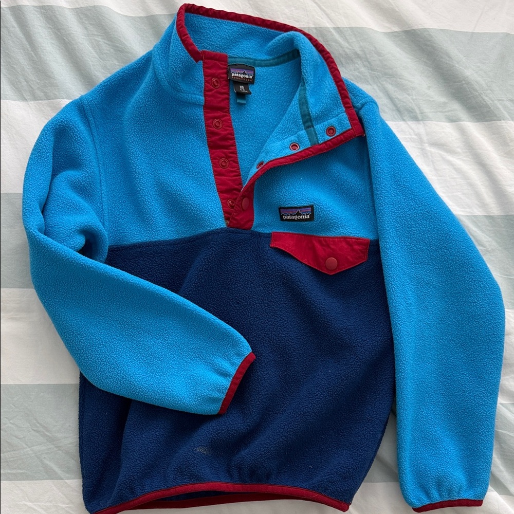 Patagonia Synchilla Blue and Red Fleece